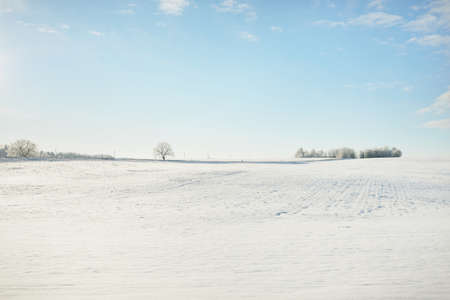 Forest meadow and country field. Pure sunlight, clear blue sky. Winter wonderland. Idyllic rural...