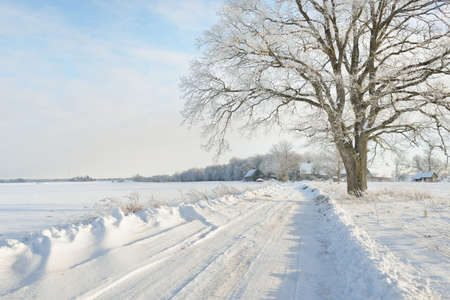 Pathway through the snow-covered fields and village on a sunny day. Country houses in the background. Idyllic landscape. Christmas vacations, eco tourism, hiking, skiing, remote places, off-road themeの写真素材