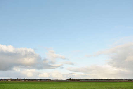 Green plowed agricultural field on a clear spring day. Forest in the background. Dramatic sky,...