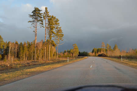 Country asphalt road (highway) through the field and forest at sunset. View from car. Tourism,...