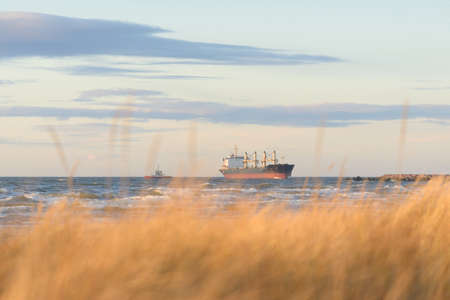 Baltic sea shore at sunset. Beach, sand dunes. Recreation area. Soft sunlight. Nature, environment,...