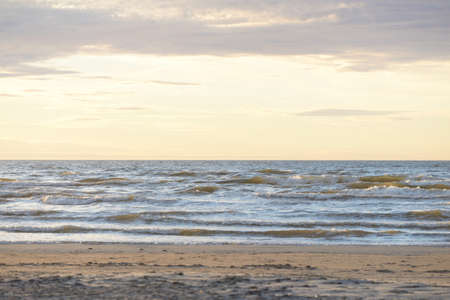 Baltic sea shore at sunset. Beach, sand dunes. Recreation area. Soft sunlight. Nature, environment,...