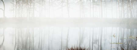Ð¡rystal clear lake (bog) in a fog at sunrise. Symmetry reflections on the water, natural mirror,...