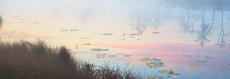 Ð¡rystal clear lake (bog) in a fog at sunrise. Evergreen forest. Symmetry reflections on the water, natural mirror, dark tree silhouettes. Idyllic autumn scene. Fantasy, fairy tale, dreamlandの写真素材