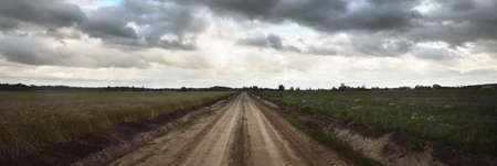 An empty country road through the plowed fields. Dramatic sky. Europe. Transportation, logistics,...