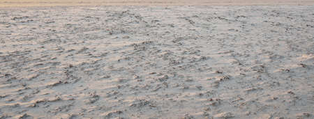 Sea shore texture. Sand dunes, wind, soft golden sunlight. Abstract natural pattern. Desert, climate...