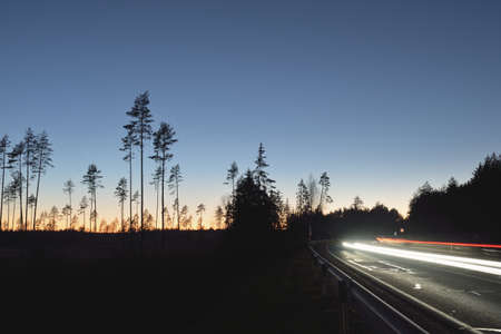 Highway through the evergreen forest at sunset. Dark silhouettes of mighty pine trees. Clear sky. Motion blur effect. Atmospheric landscape. Nature, road trip, remote placesの写真素材