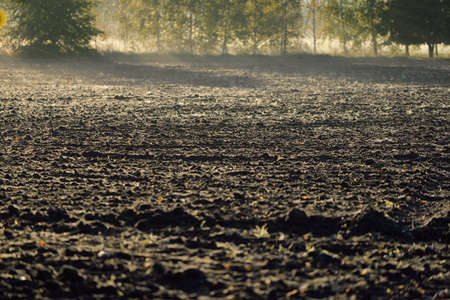 Plowed agricultural field, soil texture. Forest in the background. Soft morning sunlight. Rural scene. Countryside, farm and food industry, seeds, plantation, irrigation themesの写真素材