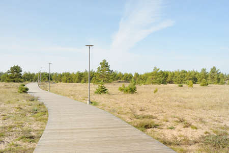 Modern wooden pathway (boardwalk) through the Baltic sea coast and forest. Idyllic landscape....
