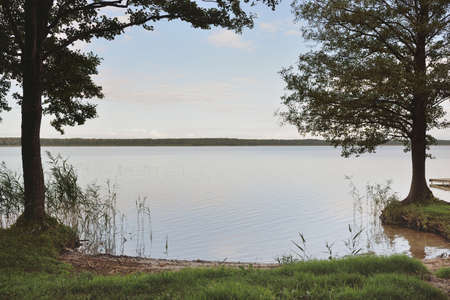 Forest river (lake) on a sunny day. Wooden pier. Clea sky, reflections in a crystal clear water....