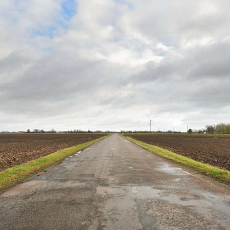 Rural road through the agricultural plowed field and forest at sunset. Electricity power line....