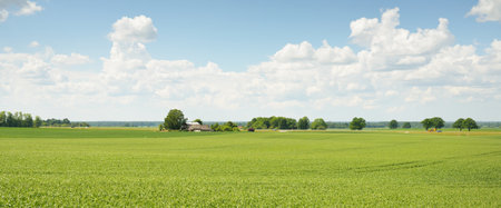Green hills of a plowed agricultural field and forest. Idyllic summer rural scene. Dramatic sky...