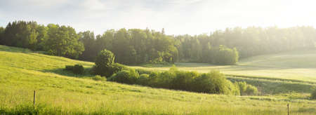 Dramatic sky above the hills of a green plowed agricultural field and forest. Sunrise. Glowing...