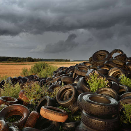 A landfill of tires using for the reinforcement of agricultural structures with fertilizers. Concept...