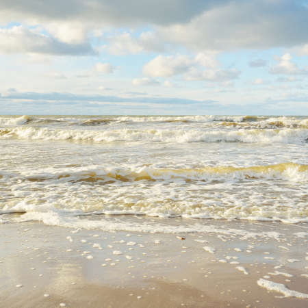 Panoramic view of the Baltic sea from a sandy shore (sand dunes). Clear sky with glowing clouds,...