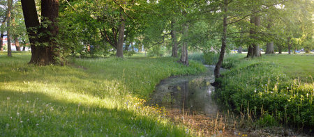 Small river (canal) in the forest park. Mighty green deciduous trees, wildflowers, plants. Golden sunlight. Idyllic summer landscape. Nature, ecology. ecotourism, hiking. cycling, nordic walkingの写真素材