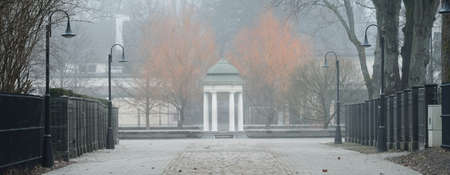 Empty street (alley) in a city park. Lanterns, benches, gazebo in the background. Mighty trees in a fog, overcast day. Walking, cycling, recreation, landscaping concepts. Spring landscape, cityscapeの写真素材