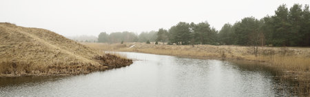 Panoramic view of the forest river on a cloudy day. Soft sunlight. Mighty evergreen trees, hills,...