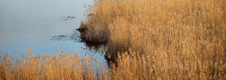 Panoramic view of the blue forest lake (river) at sunset. Soft sunlight, clear sky, reflections on...