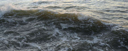 Sea water surface texture. Soft sunlight. Panoramic image, graphic resources. Nature, environment...