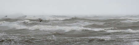 Baltic sea after the storm. Sunset. Picturesque panoramic scenery, seascape. Nature, environment,...
