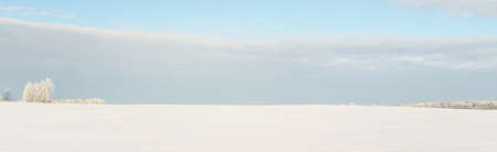 Forest meadow and country field. Pure sunlight, clear blue sky. Winter wonderland. Idyllic rural scene. Ecology, eco tourism, environmental conservation, christmas vacations, skiing, remote placesの写真素材