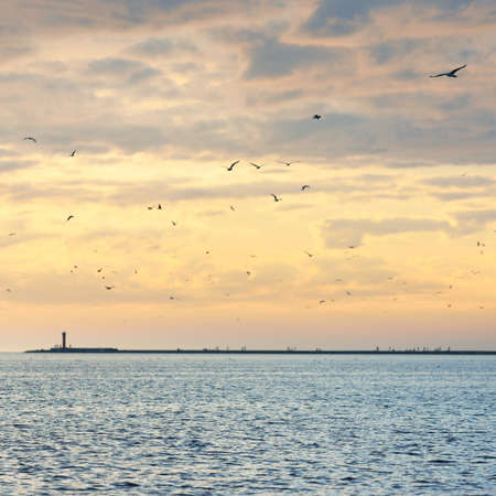 Baltic sea after the storm, panoramic view from a sailing boat. Lighthouse, seagulls. Dramatic sunset sky. Glowing clouds, golden sunlight. Idyllic seascape. Nature, cruise, travel destinationsの写真素材