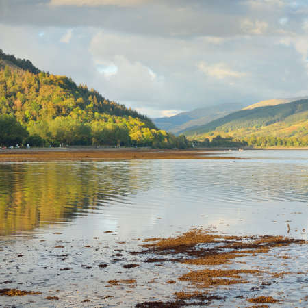 Rocky lake shore, mountains, forest. Scotland, UK. Atmospheric landscape. Travel destinations, eco...
