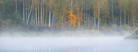 Golden birch forest at sunrise. Gauja river. Mysterious white fog. Symmetry reflections on water. Sigulda, Latvia. Breathtaking panoramic view. Nature, ecology, environmental conservation, ecotourismの写真素材
