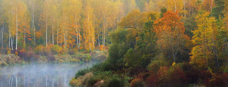 Gauja river and golden birch forest at sunrise. Mysterious white fog. Symmetry reflections on water. Sigulda, Latvia. Breathtaking panoramic aerial view. Nature, environmental conservation, ecotourismの写真素材