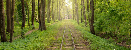 Narrow-gauge railway in a deciduous forest (public park). Idyllic summer landscape. Ventspils,...