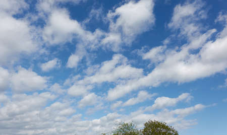 Clear blue sky with glowing clouds after storm at sunset. Soft sunlight. Green tree. Dramatic...