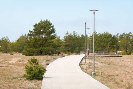 Baltic sea shore on a sunny day. Modern wooden pathway (boardwalk). Pine trees. Beach, sand dunes, dune grass. Clear sky. Idyllic landscape. Nature, vacations, eco tourism, hiking, healthy lifestyleの写真素材