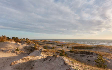 Baltic sea shore on a sunny day. Beach, sand dunes, dune grass. Clear sky, soft sunlight. Idyllic...