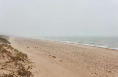 Baltic sea shore in a thick fog. Beach, sand dunes. Rainy day, gloomy sky, soft sunlight. Dune...