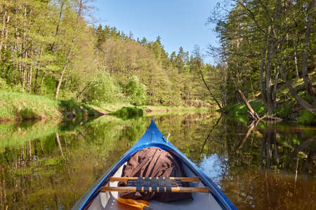 Canoe riding on Irbe river. Kurzeme, Latvia. Forest. mighty trees, reflections in water. Nature, ecology, eco tourism, hiking, leisure activity, boating, rowing, sport, healthy lifestyle, wanderlustの写真素材