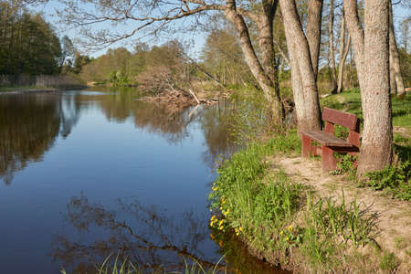 Recreational area and resting zone in a forest park. Irbe river, Kurzeme, Latvia. Wooden bench...