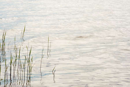 Reflections of glowing clouds in a crystal clear water. Green plants. Abstract natural texture,...