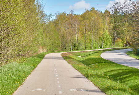 Winding bicycle road through the forest park. Spring, early summer. Nature, eco tourism, hiking,...