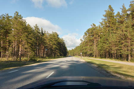 Highway (asphalt road) through the evergreen pine forest. Rural scene, concept landscape. Nature,...