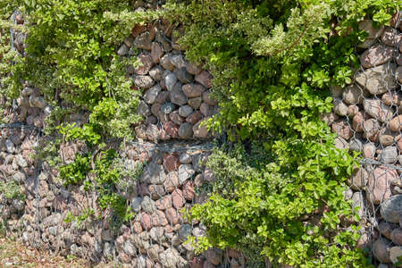 Modern fence decorated with wire, stones and green leaves. City park. Concept landscape....
