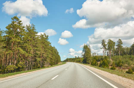 An empty highway (new asphalt road) through the evergreen pine forest. Dramatic storm clouds before...
