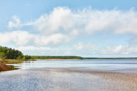 Panoramic view from the shore of a crystal clear forest lake (river). Idyllic landscape. Spring, early summer. Nature, environment, ecology, ecotourism, hiking, vacations, swimming and relaxing themesの写真素材