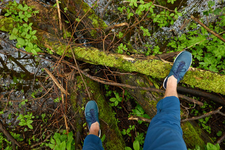 Man standing on tree log in a forest park. Blue jeans and trekking boots. Green plants, moss, fern. Spring, early summer. Nature, tourism, hiking, nordic walking, healthy lifestyleの写真素材