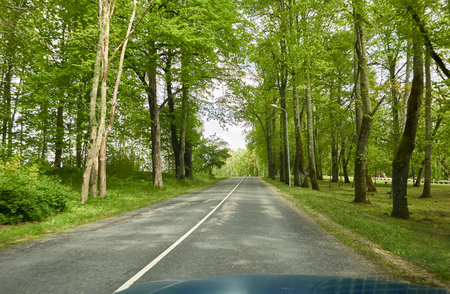 An empty highway (new asphalt road) through the rural area and forest. Tourism, road trip, freedom,...