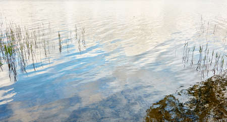 Reflections in a crystal clear blue water. Green plants. Abstract natural texture, background,...