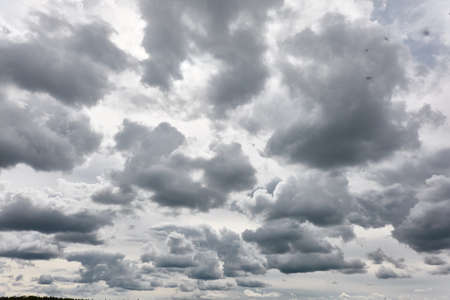 Ornamental clouds. Dramatic sky. Epic storm cloudscape. Soft sunlight. Panoramic image, texture, background, graphic resources, design, copy space. Meteorology, heaven, hope, peace conceptの写真素材