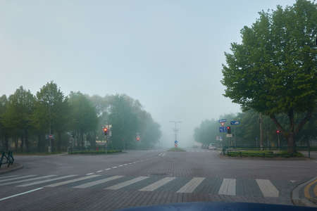 A new asphalt road (highway) in a fog. Cobblestone pedestrian walkway and alley of young green trees. Street lanterns, traffic lights. Cityscape. Landscaping, dangerous driving, safety conceptsの写真素材