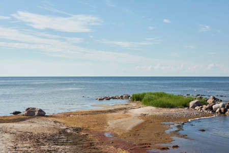 Baltic sea on a clear summer day, panoramic view from a sandy shore, stones close-up. Ruhnu island, Estonia. Nature, eco tourism, travel destinations, recreation themesの写真素材