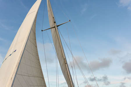 White sloop rigged yacht sailing in an open sea on a clear day. White sails against blue sky with...